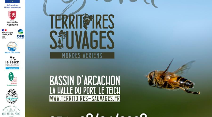 Festival Territoires Sauvages